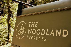 the woodland presents